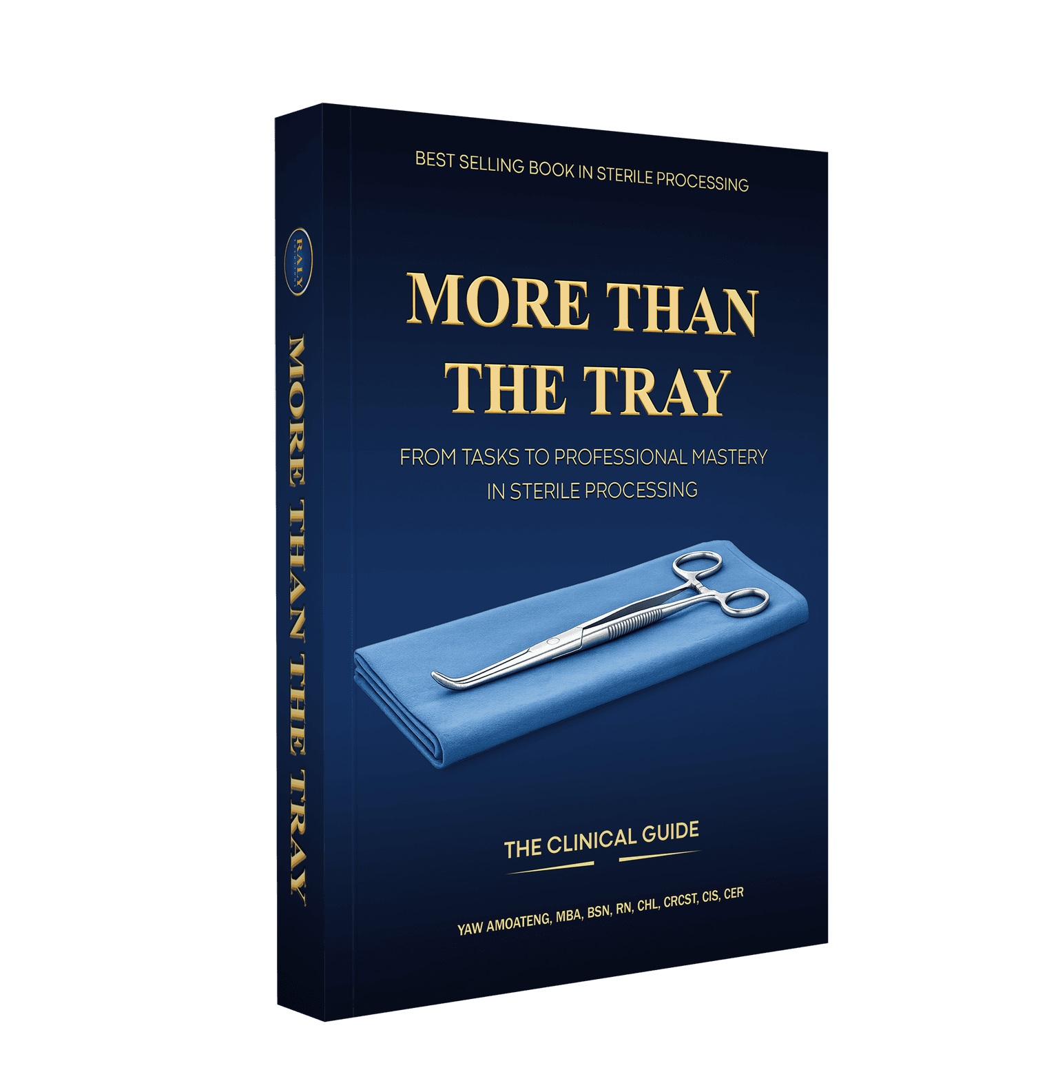More Than The Tray Book Cover